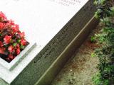 image of grave number 340790